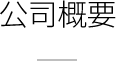 公司概要