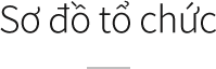 Sơ đồ tổ chức
