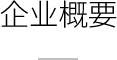 公司概要