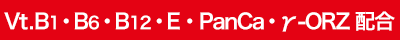 Vt.B1・B6・E・PanCa・γ-ORZ Combination