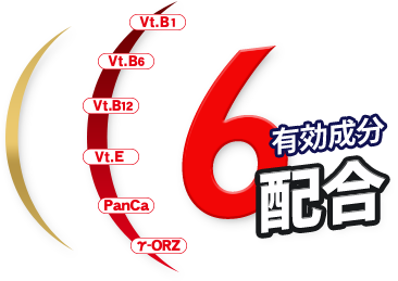 6 有効成分配合