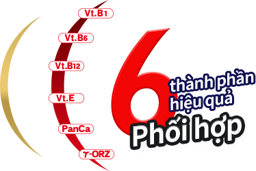 6 thành phần hiệu quả